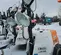 2019 Magnum Pro MLT6SM Portable Light Tower