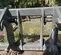 2021 PEMBERTON 418877