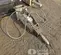 2019 Kent KF9FSP Attachment