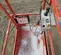 2018 Skyjack SJIII3226 Scissor Lift